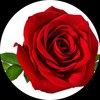 cmrose73